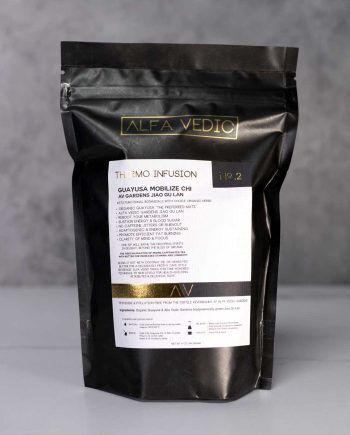 THERMO INFUSION No. 2 - GUAYUSA MOBILIZE CHI™